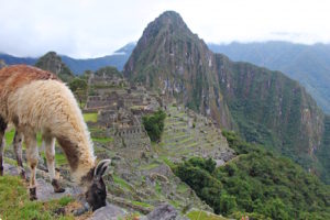Machi Picchu Solo travel